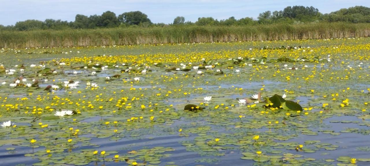 Kifog-Lak Vendégház Villa Poroszló Esterno foto