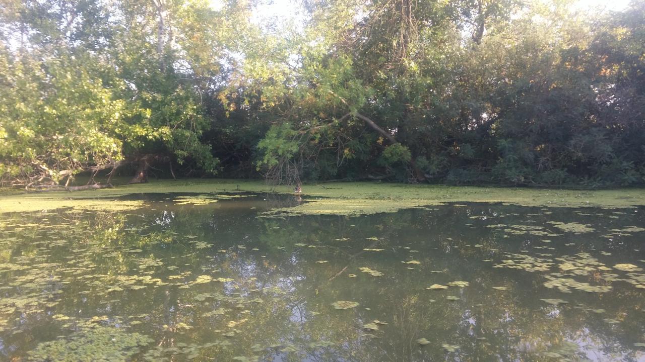 Kifog-Lak Vendégház Villa Poroszló Esterno foto